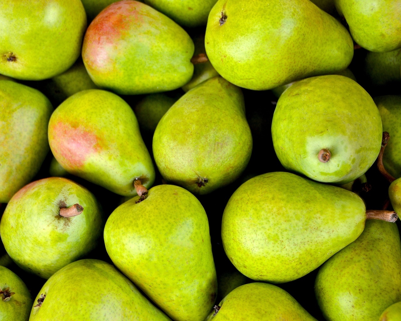 Много зеленых груш крупным планом