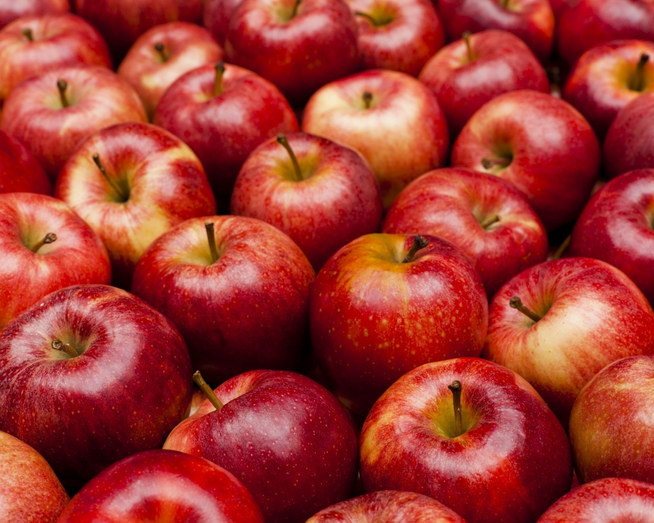 Много спелых красных яблок крупным планом