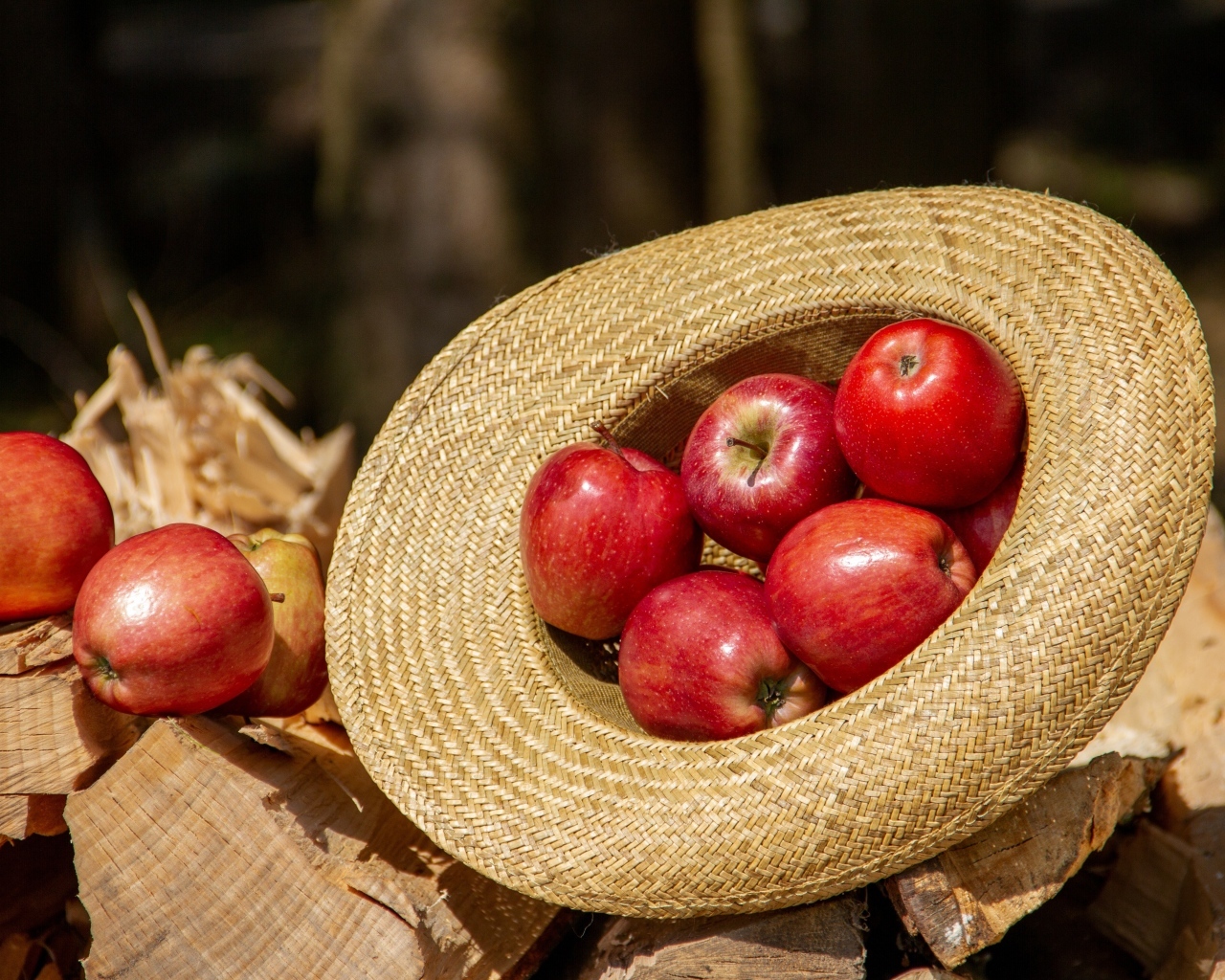 Красные яблоки лежат в соломенной шляпе 