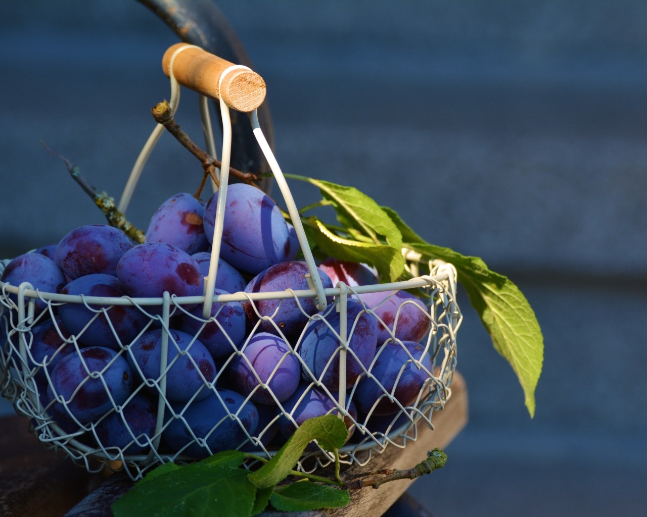 Спелые синие сливы в корзине на столе