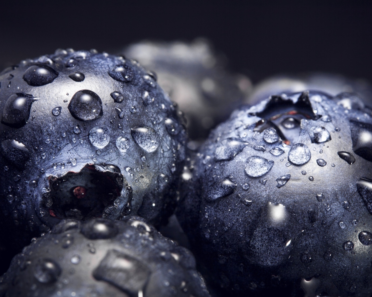 Круглые ягоды черники в каплях воды