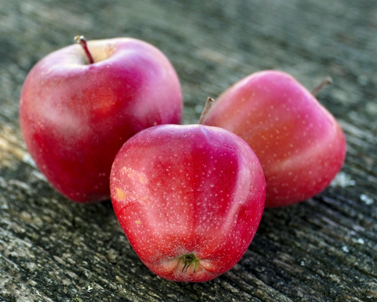 Три больших спелых красных яблока