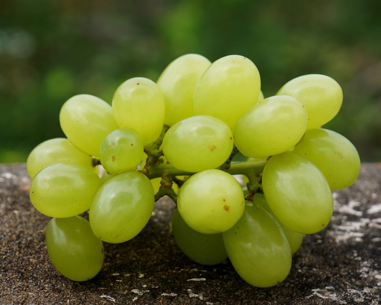 Белый виноград лежит на асфальте