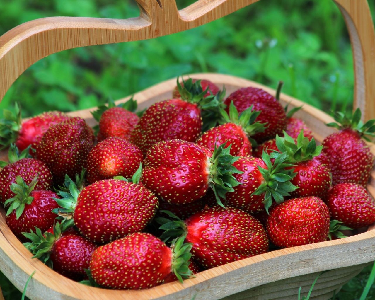 Деревянная корзина вкусной сладкой спелой клубники