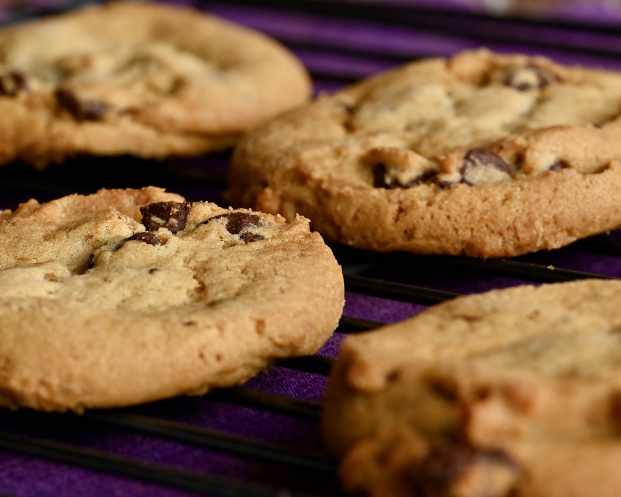 Аппетитное круглое печенье с шоколадной крошкой