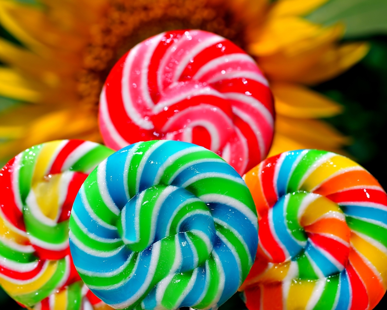 Яркие разноцветные леденцы на палочке