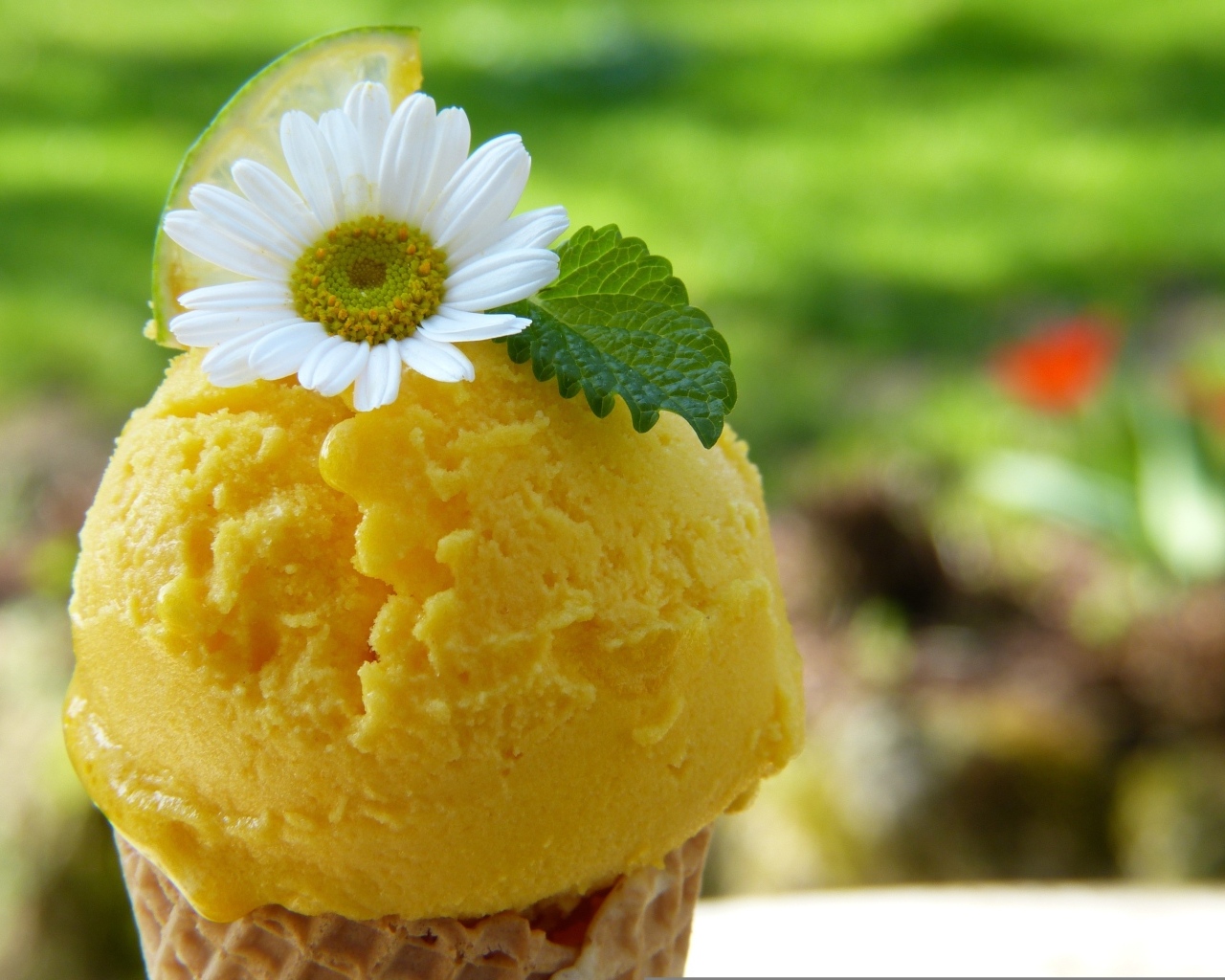 Желтое фруктовое мороженое с цветком ромашки