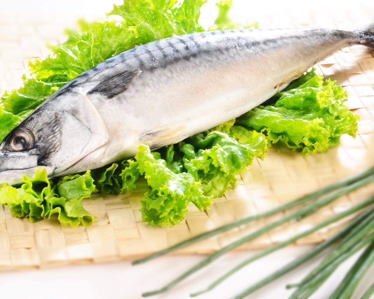 Крупная скумбрия с листьями салата