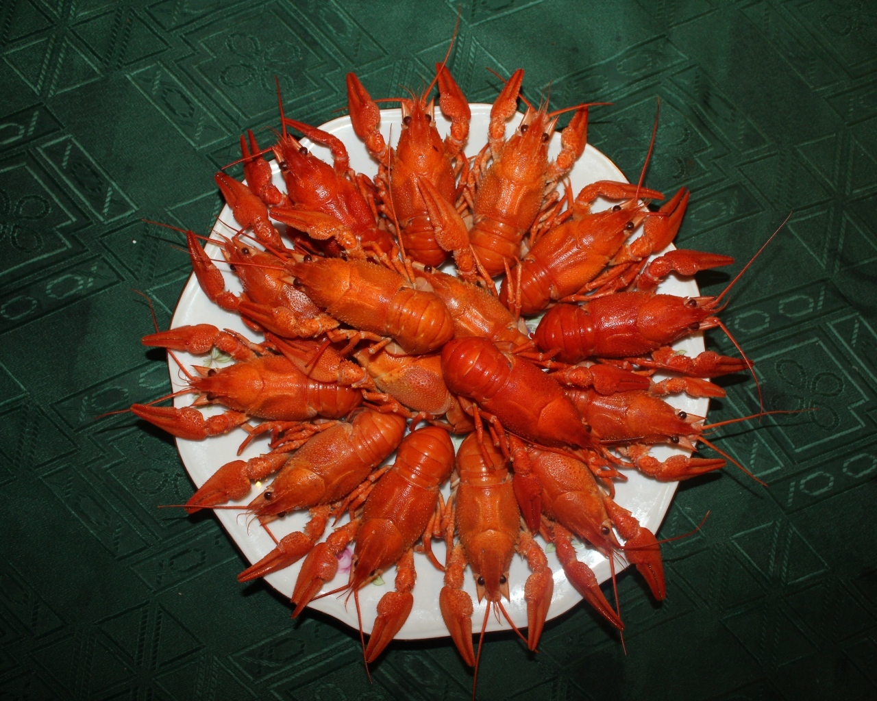 Красные вареные раки на белой тарелке