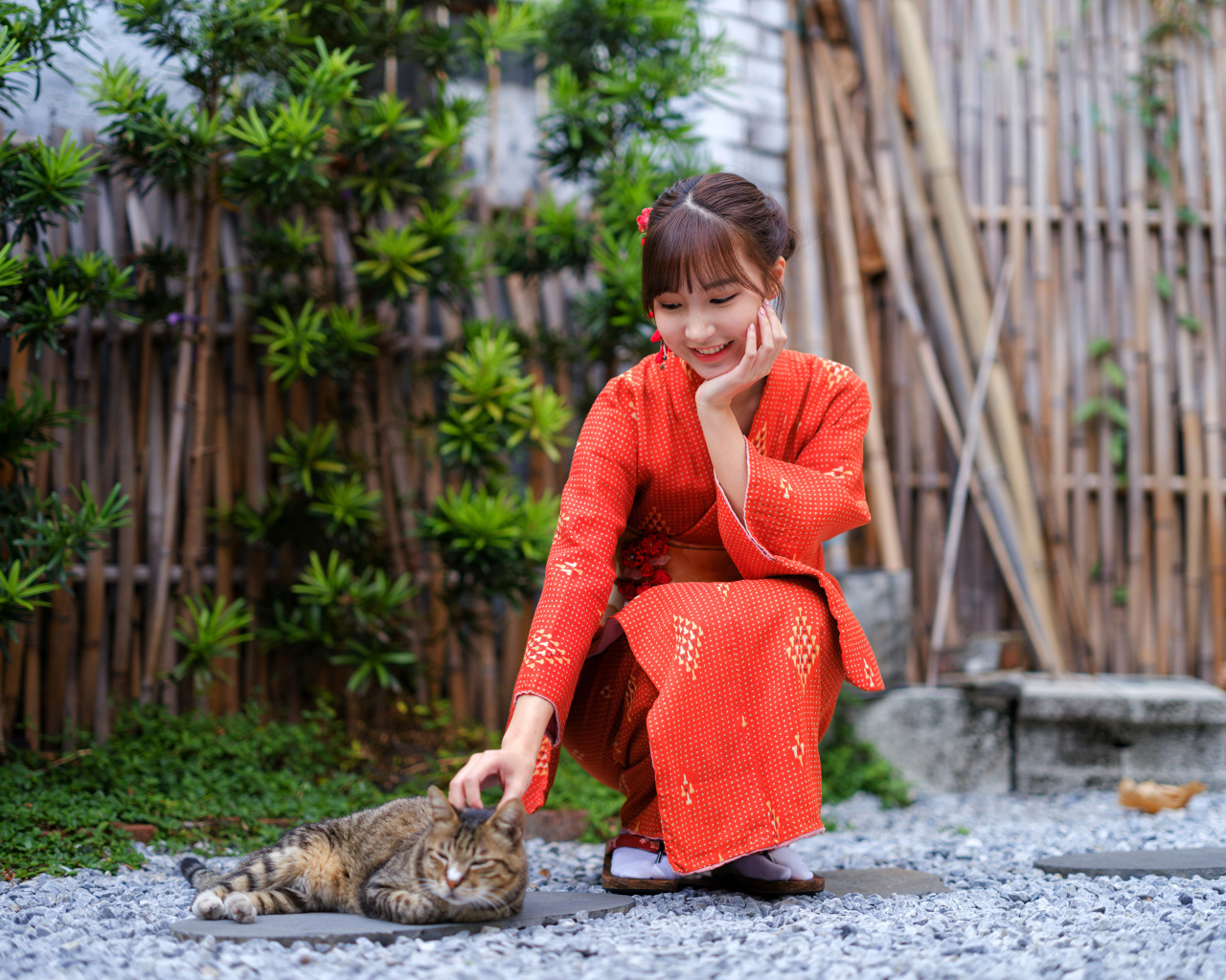 Девушка азиатка в красном платье гладит кота