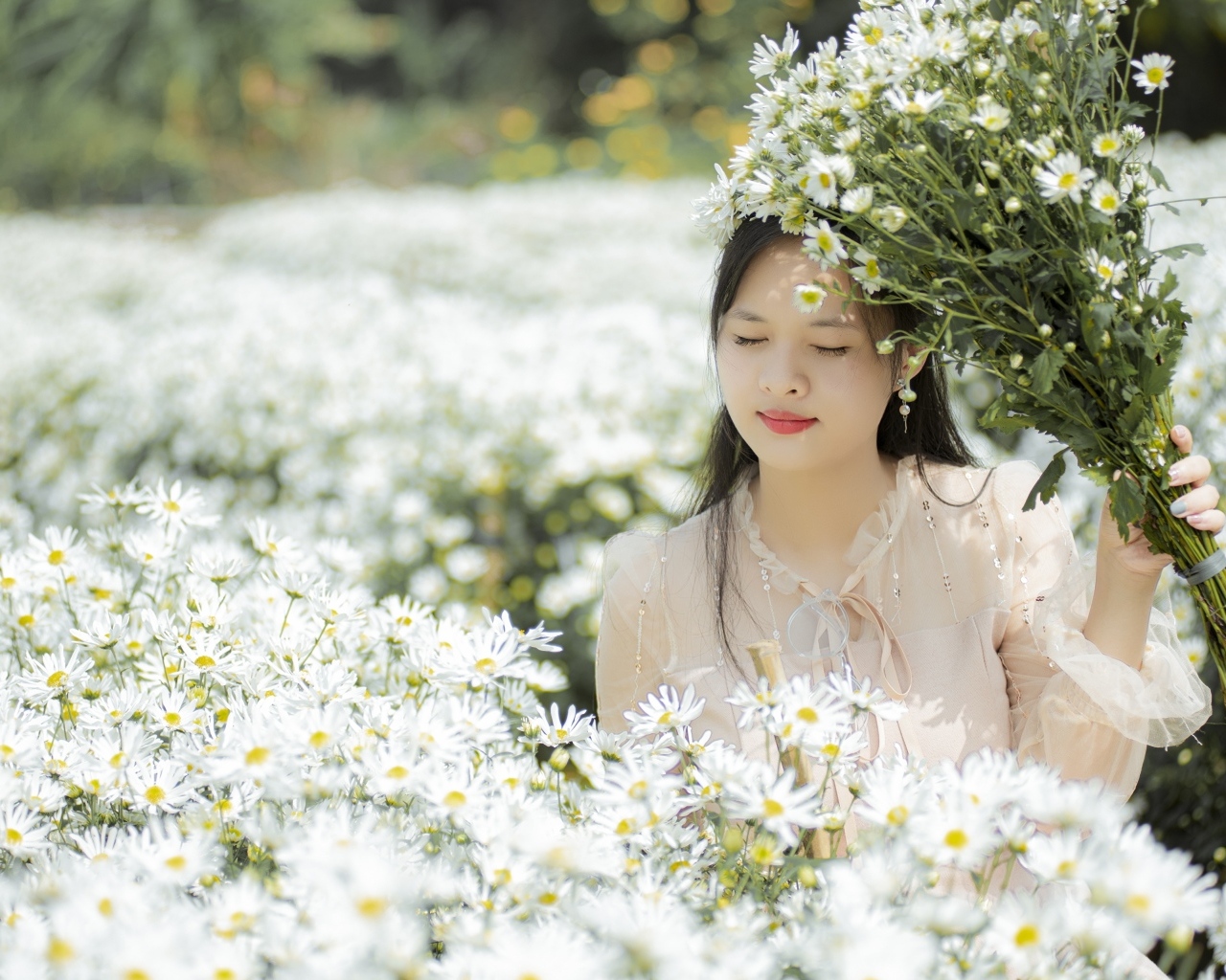 Красивая девушка азиатка на поле с белыми цветами хризантемы