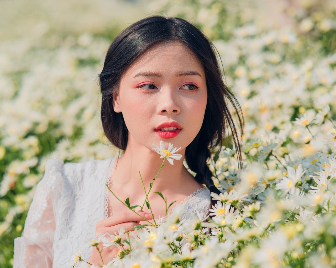 Красивая девушка азиатка на поле с белыми ромашками