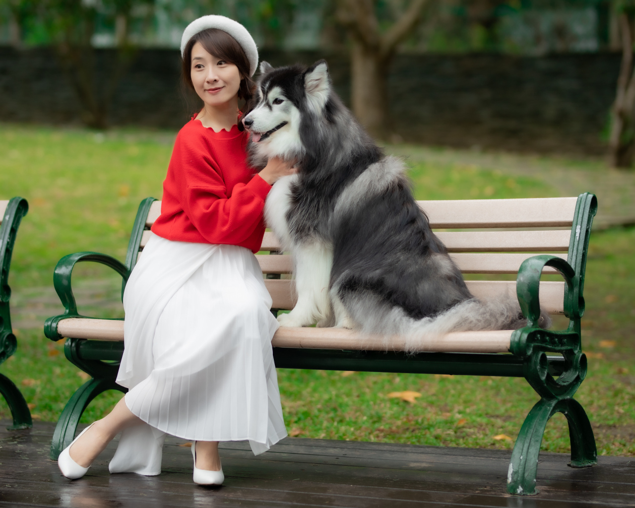 Красивая девушка азиатка сидит с собакой на лавке