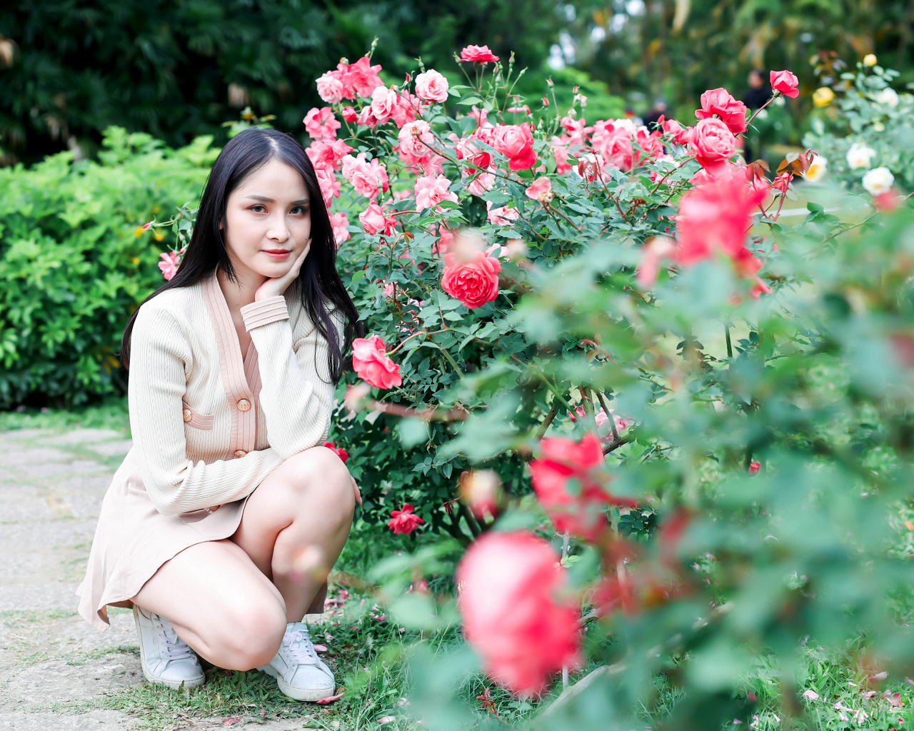 Красивая девушка сидит у куста роз