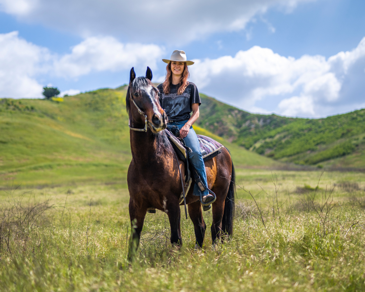Красивая девушка сидит на большой лошади