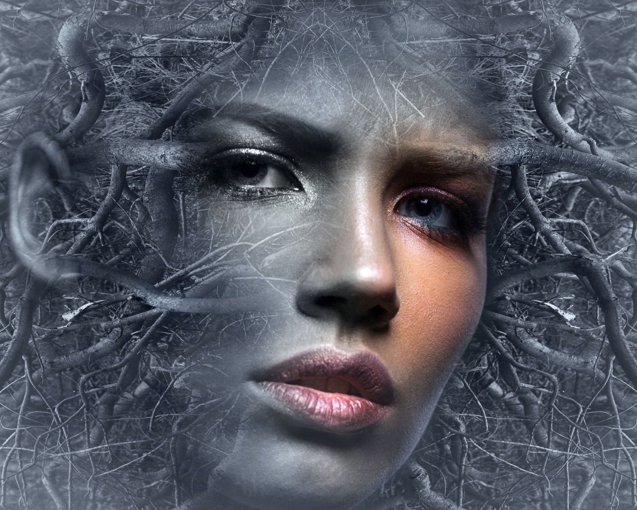 Лицо девушки в ветках дерева