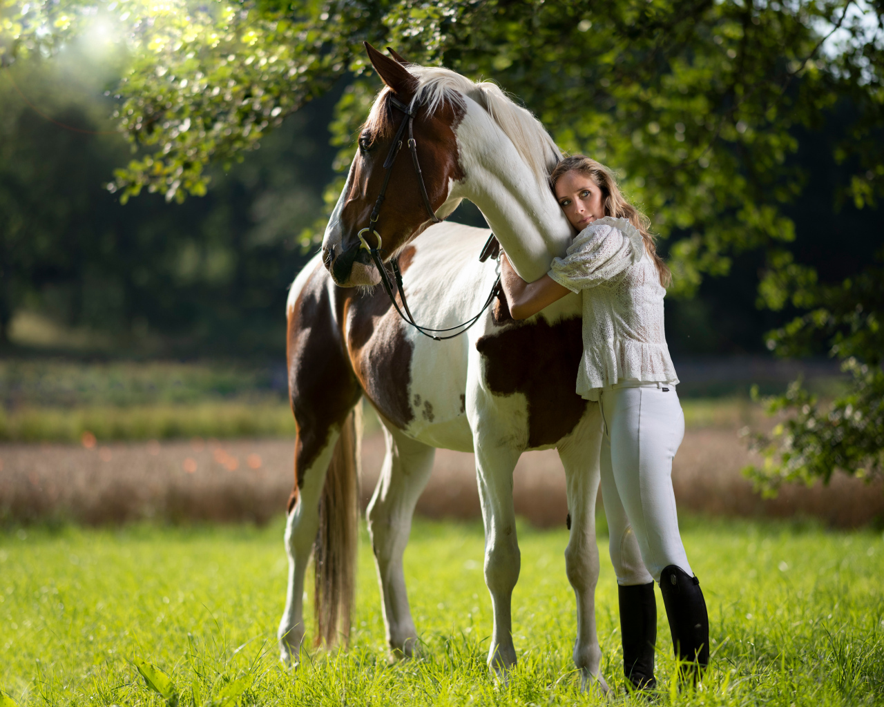 Молодая девушка обнимает большого коня