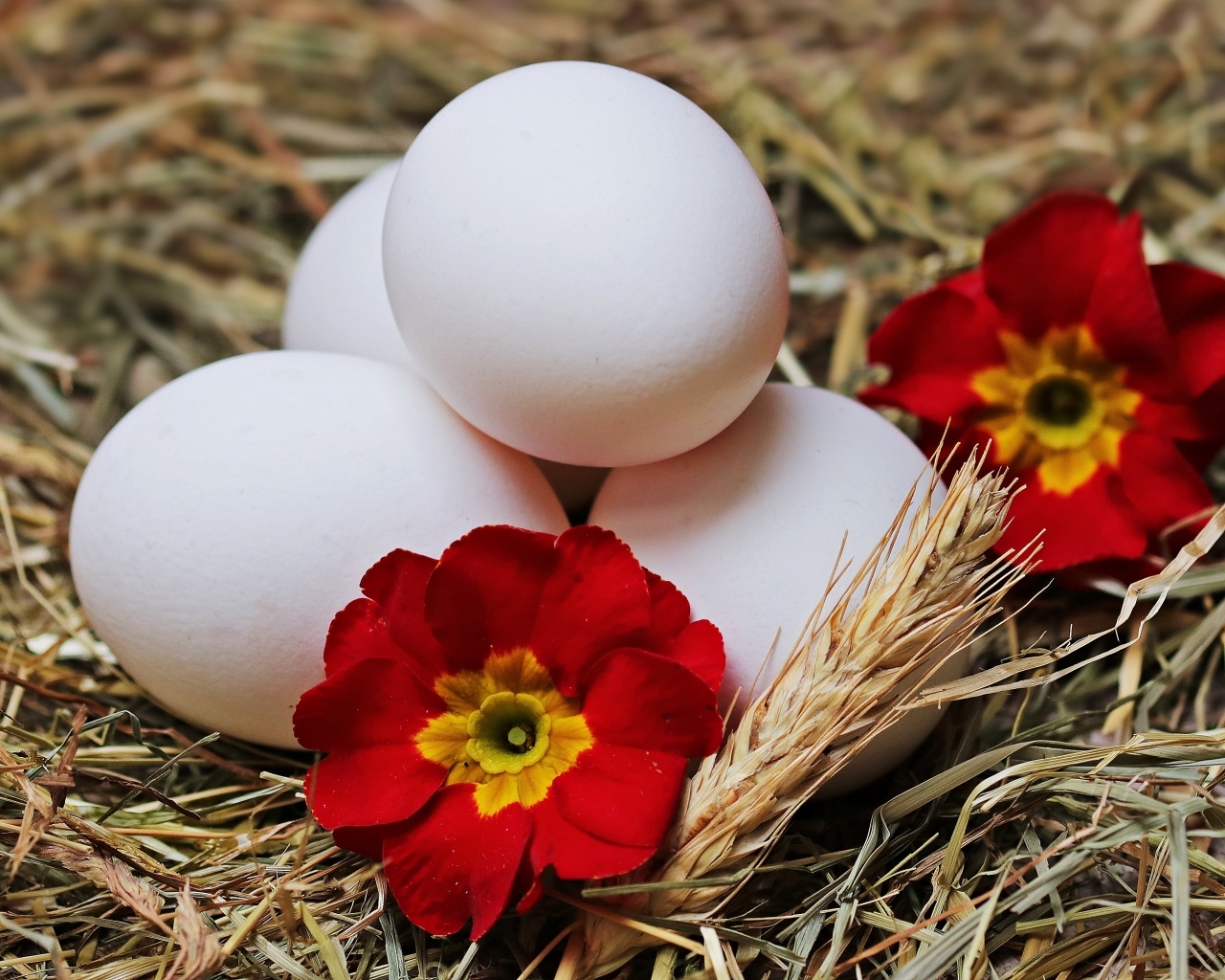Белые яйца с цветами в гнезде на праздник Пасха