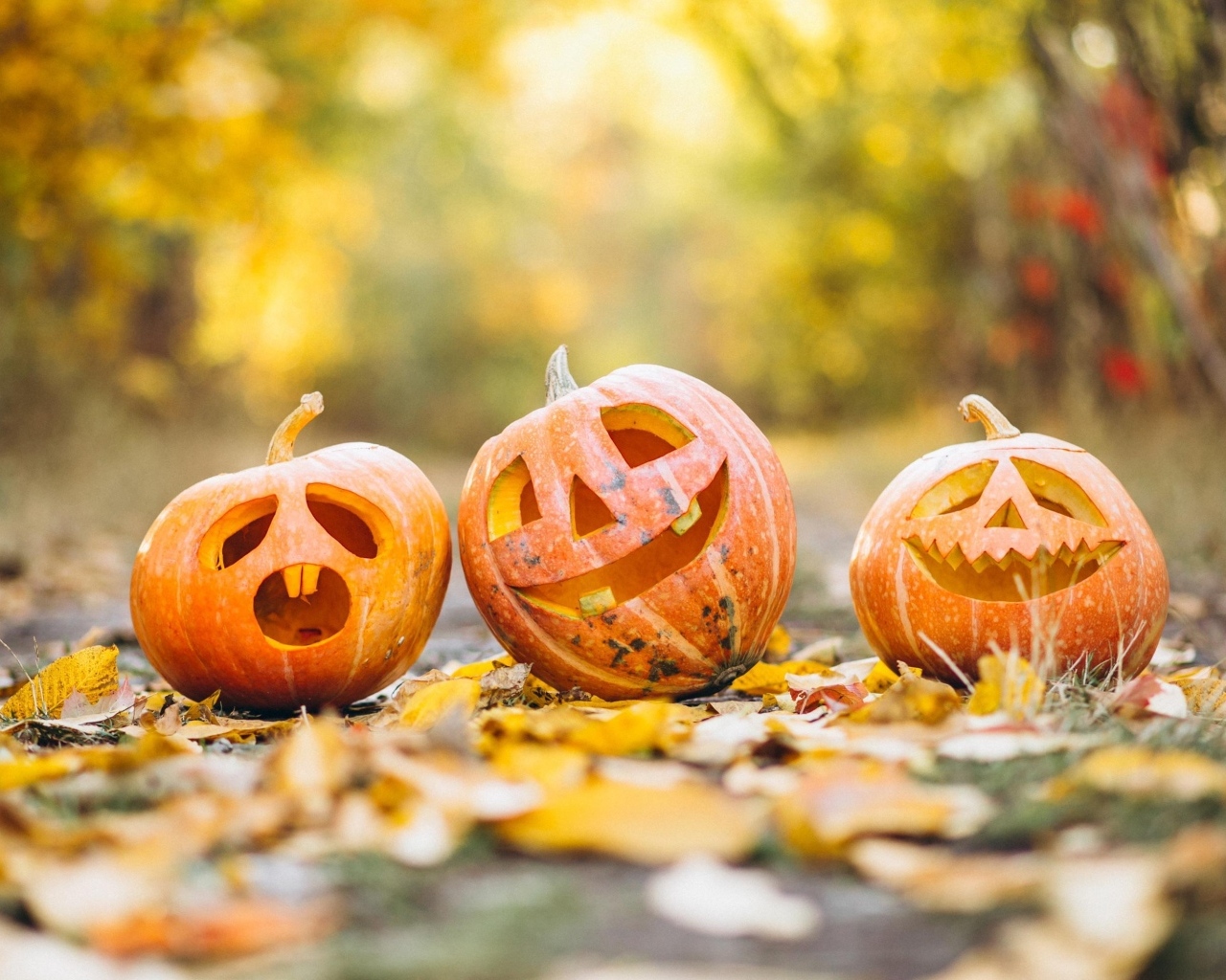 Три тыквы для Хэллоуина на земле