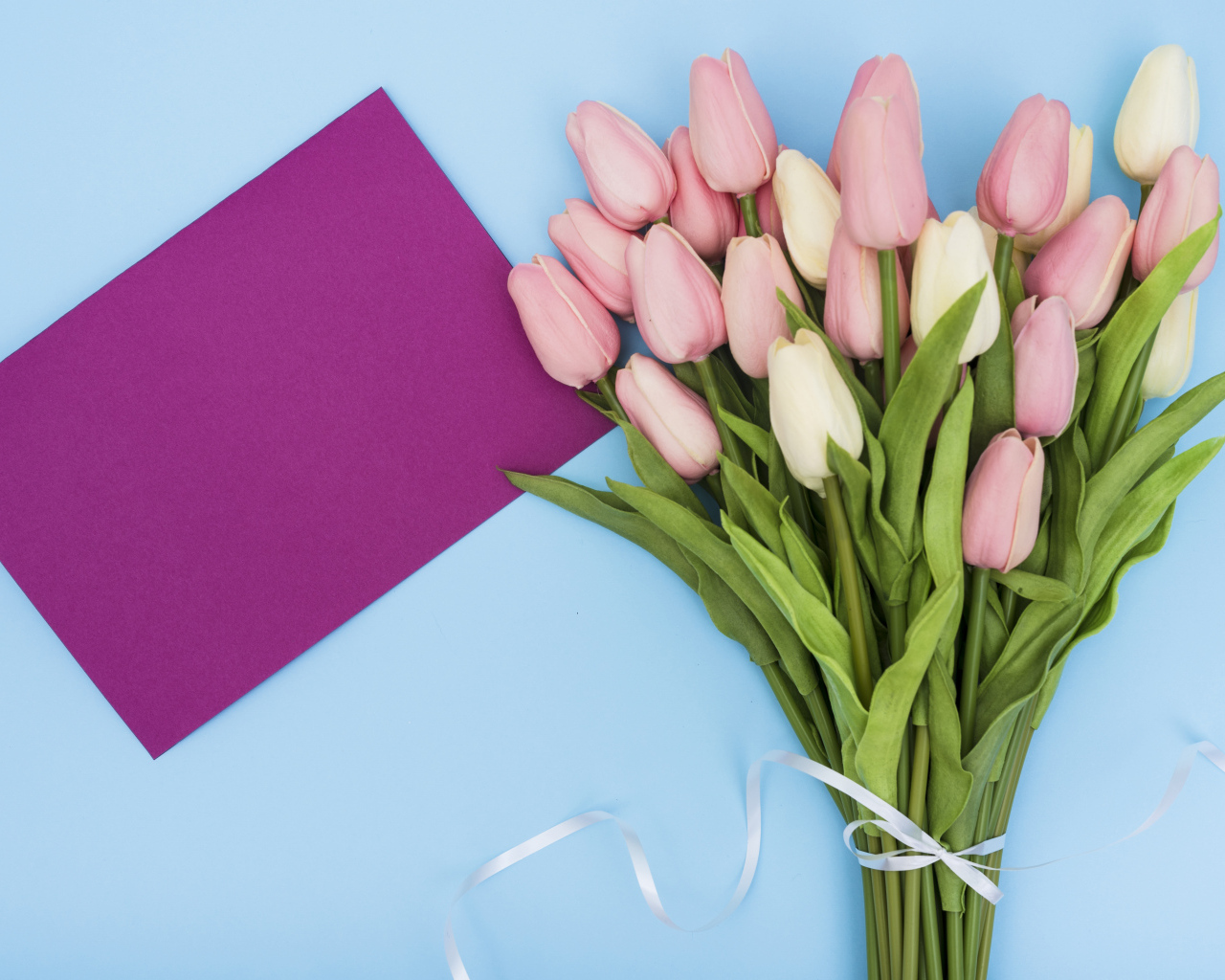 Букет тюльпанов на голубом фоне шаблон поздравительной открытки на 8 марта