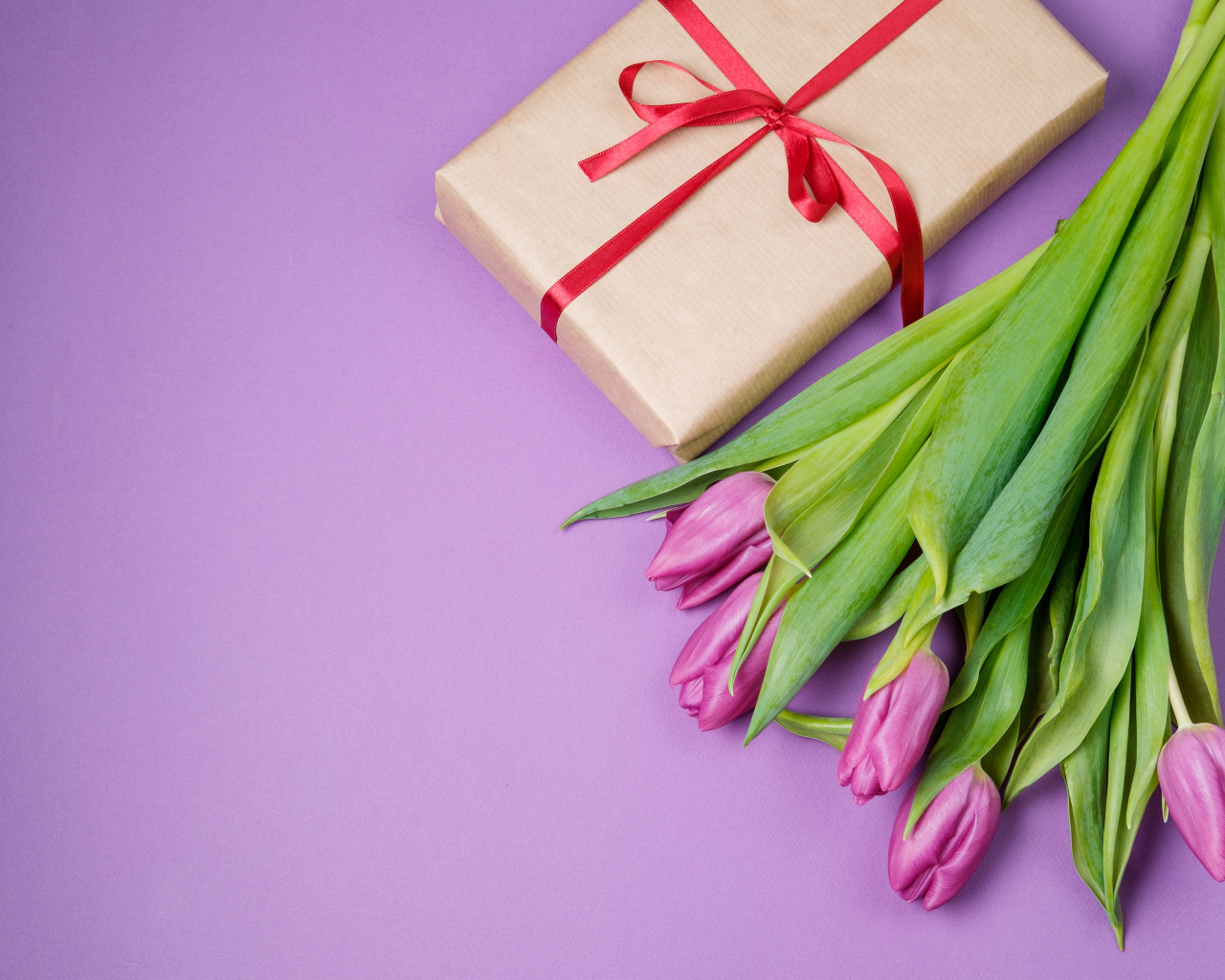 Подарок и букет красивых тюльпанов на сиреневом фоне