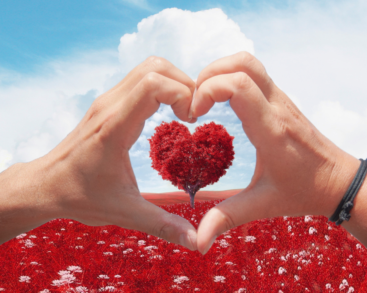 Две руки создают сердце на фоне дерева