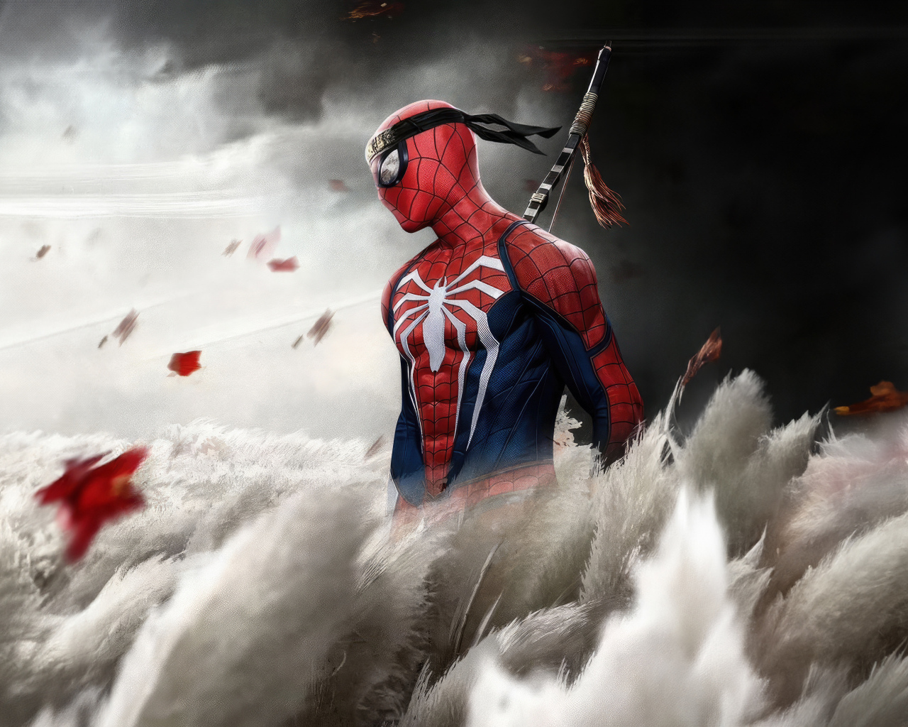 Ниндзя Человек паук на поле