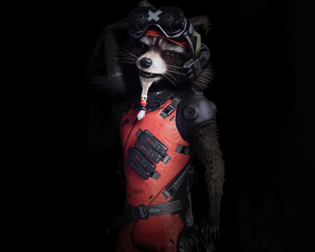 Енот в костюме на черном фоне