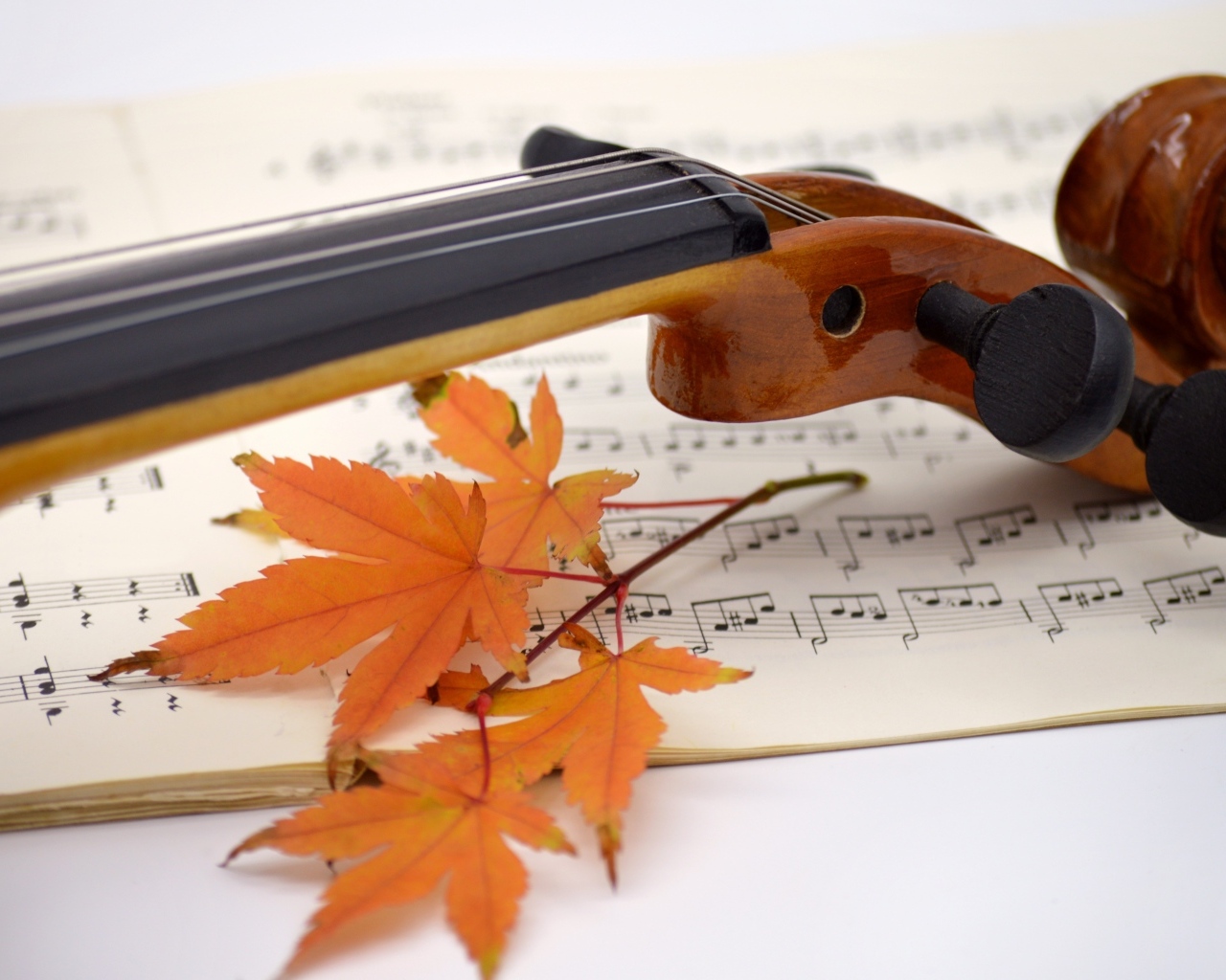 Скрипка на столе с листьями и нотами