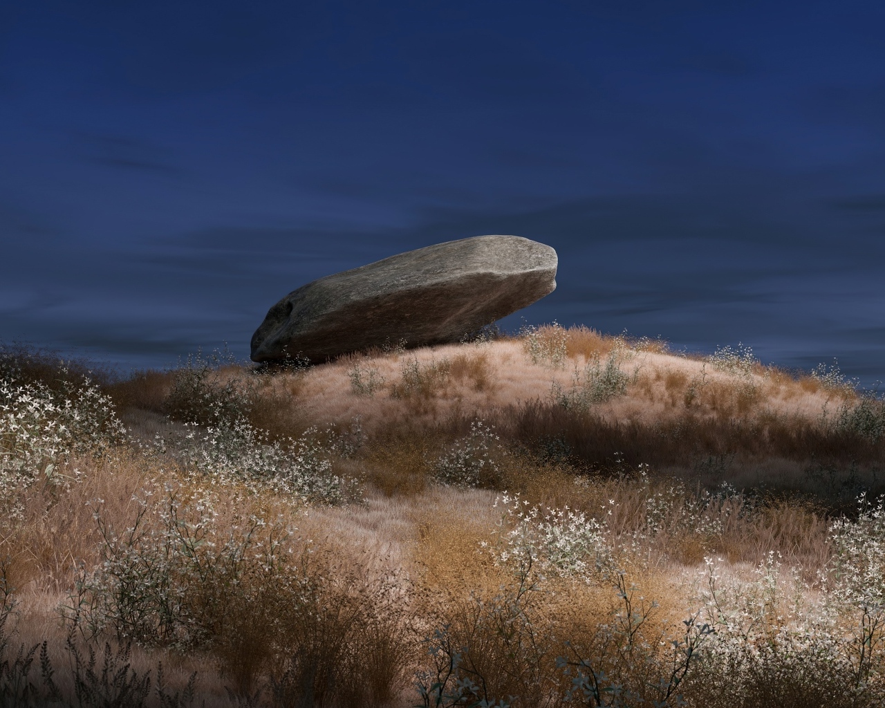 Большой камень лежит на траве ночью