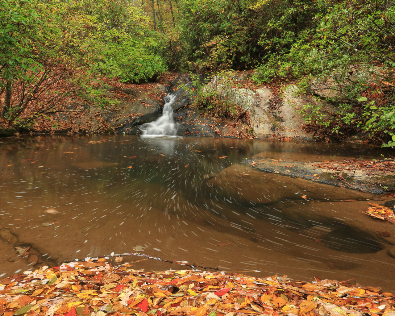 Красивый холодный осенний лес с водопадом