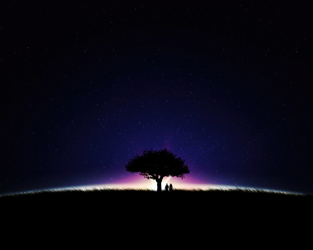 Большое дерево на фоне неба ночью