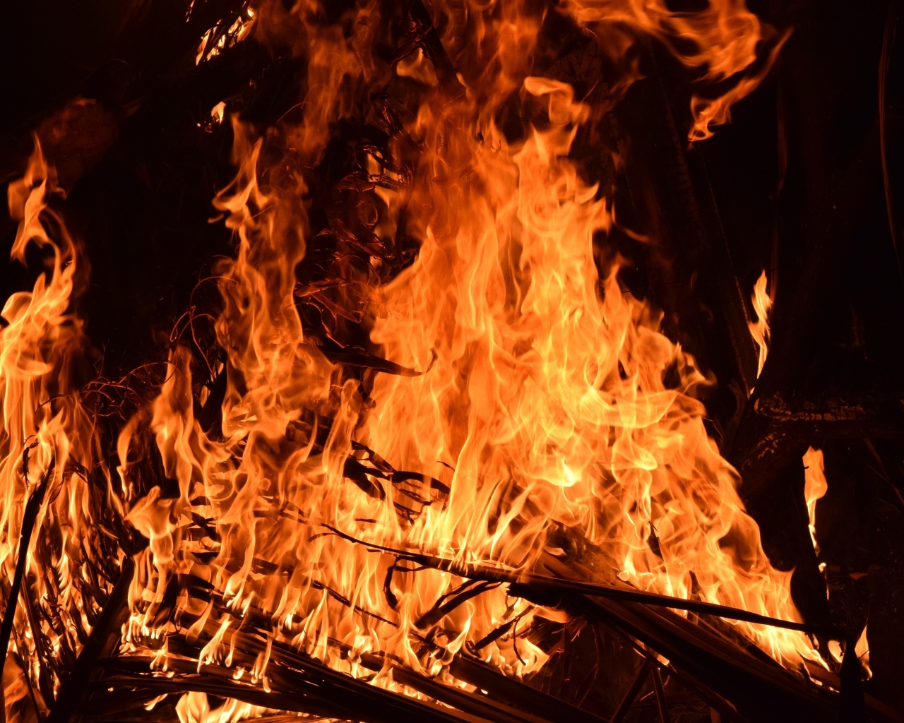 Яркий горячий огонь костра вблизи