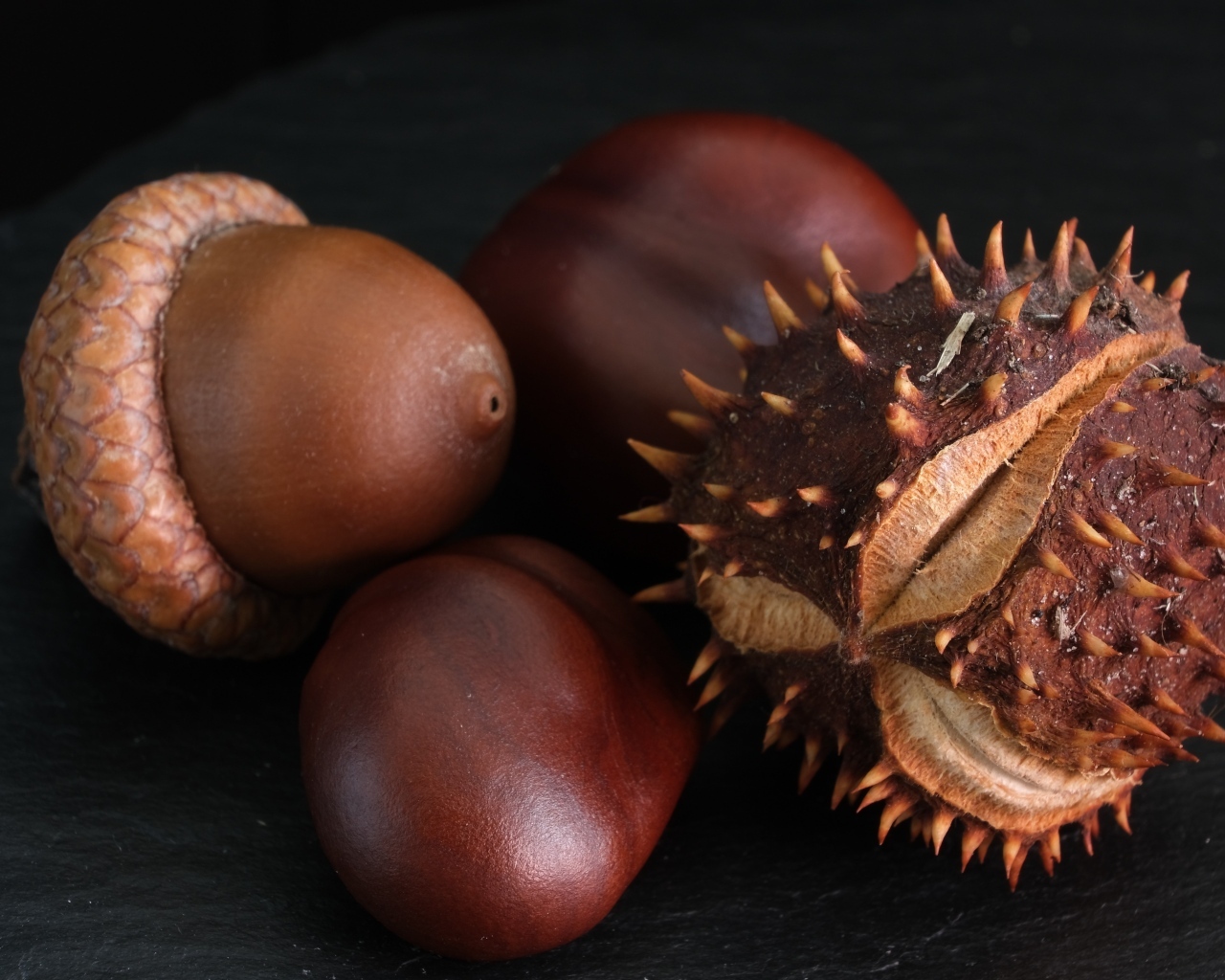 Сухие каштаны и желуди на черном фоне