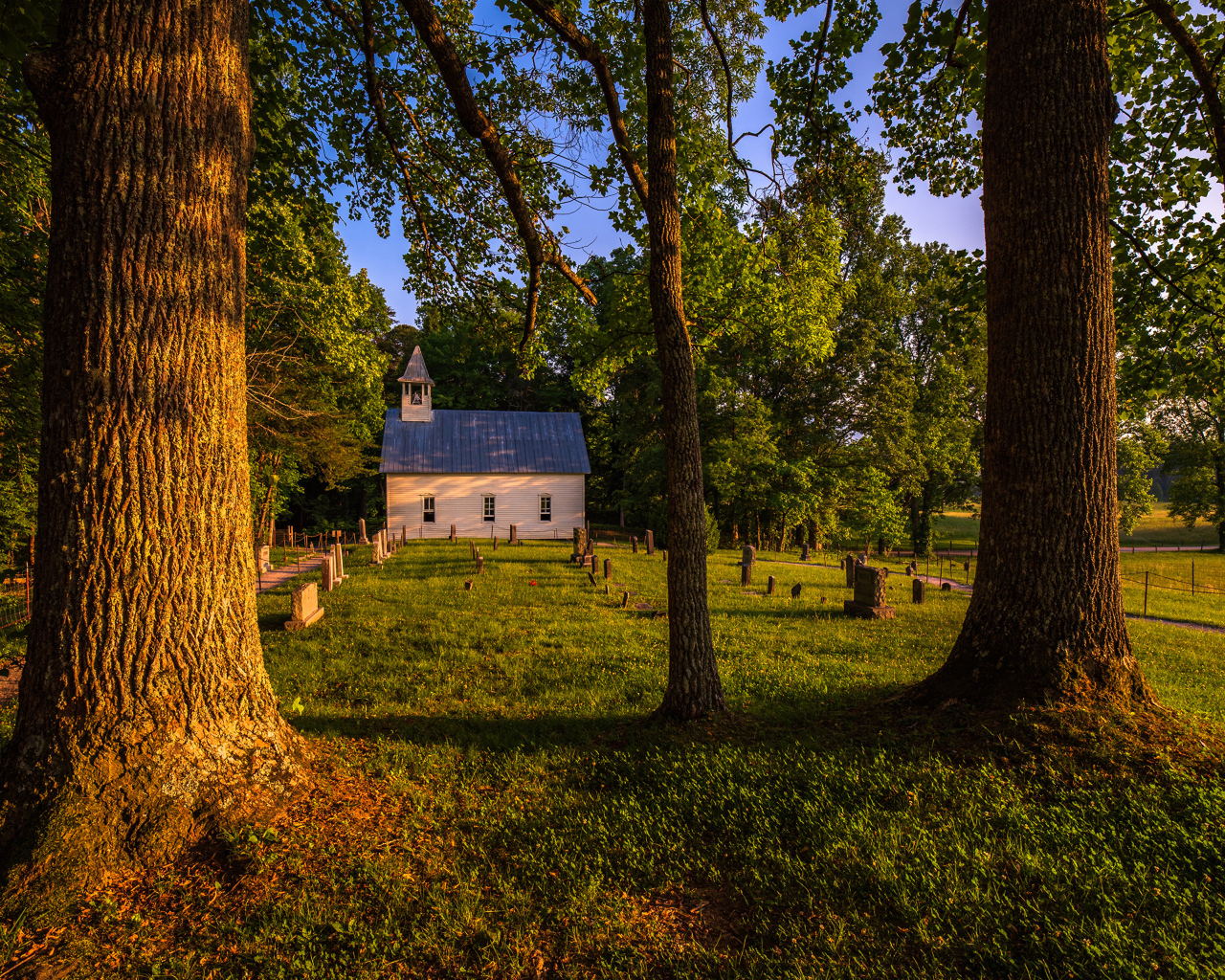 Дом в парке с зеленой травой летом