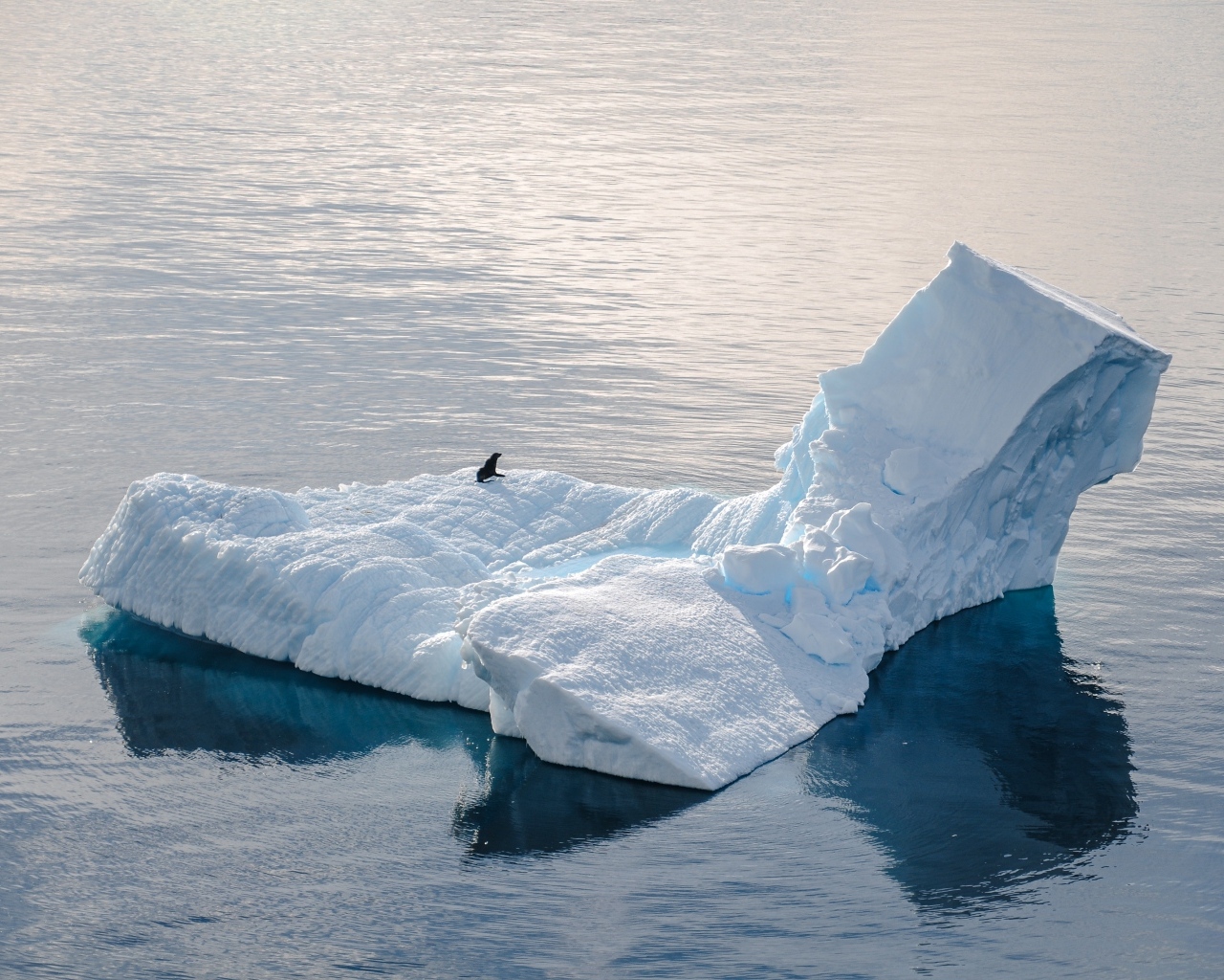 Большой холодный айсберг водах Антарктики