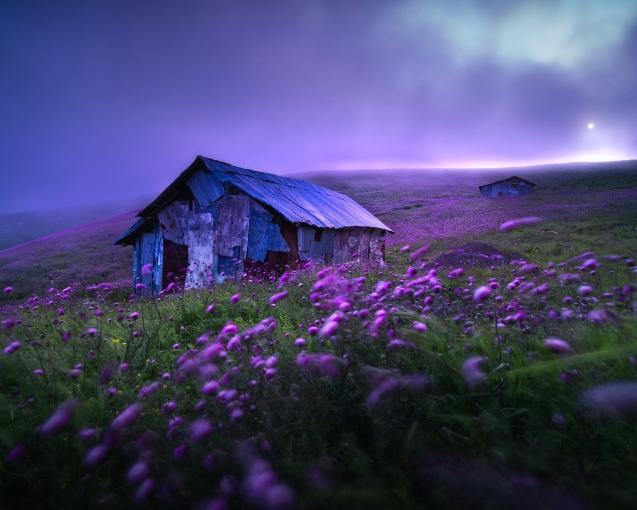 Старый дом с сиреневыми цветами на холме