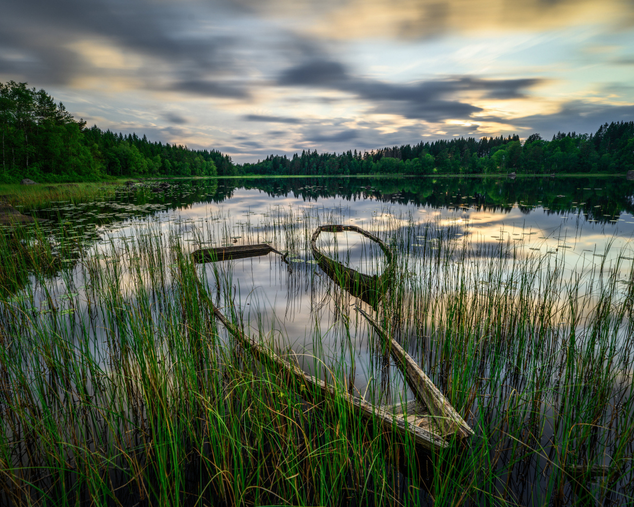Старая затонувшая лодка в пруду