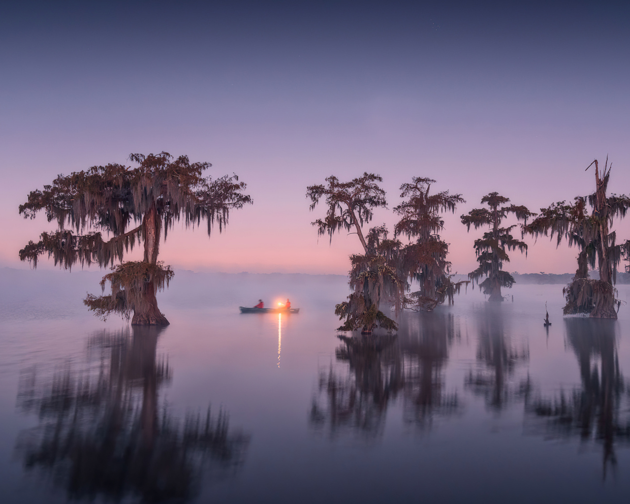 Старые деревья в воде в сумерках