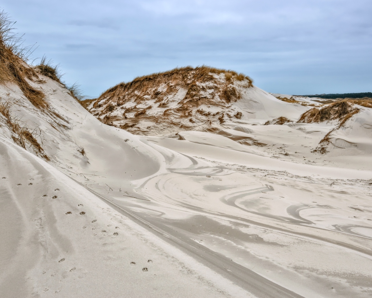 Горячий песок в дюне