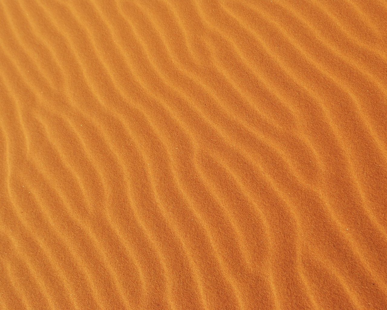 Волнистый горячий песок пустыни крупным планом