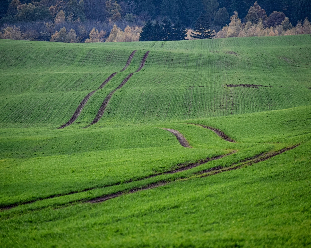 Красивый вид за зеленые поля весной