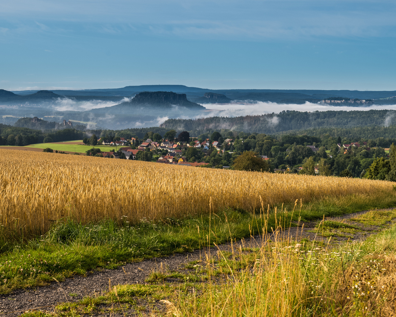Туман над городом у поля с пшеницей 