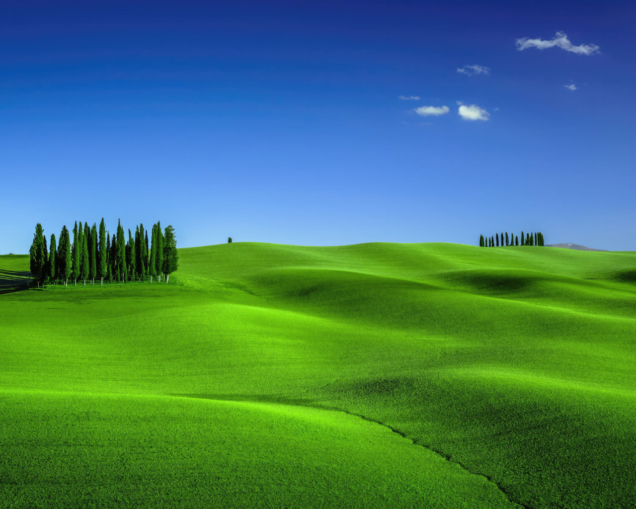 Зеленое волнистое поле под голубым небом