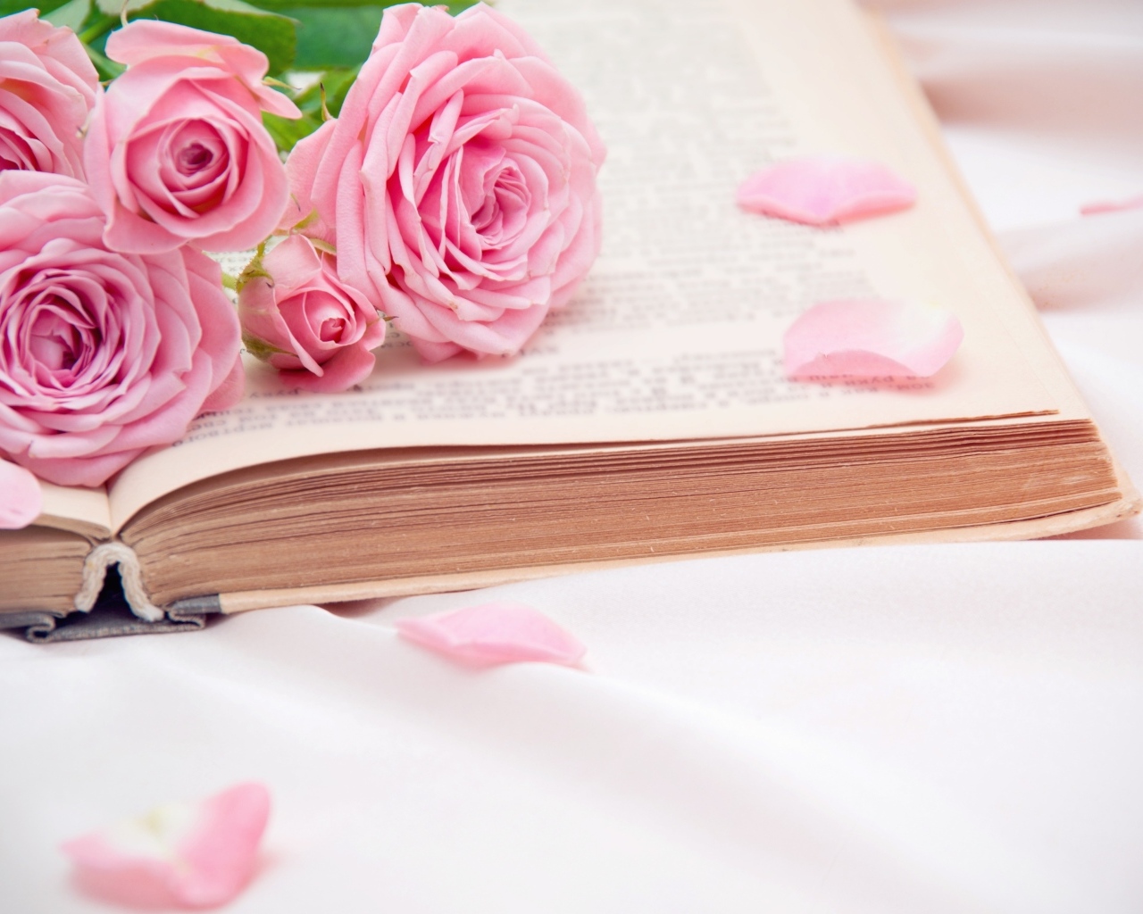 Букет розовых роз лежит на книге
