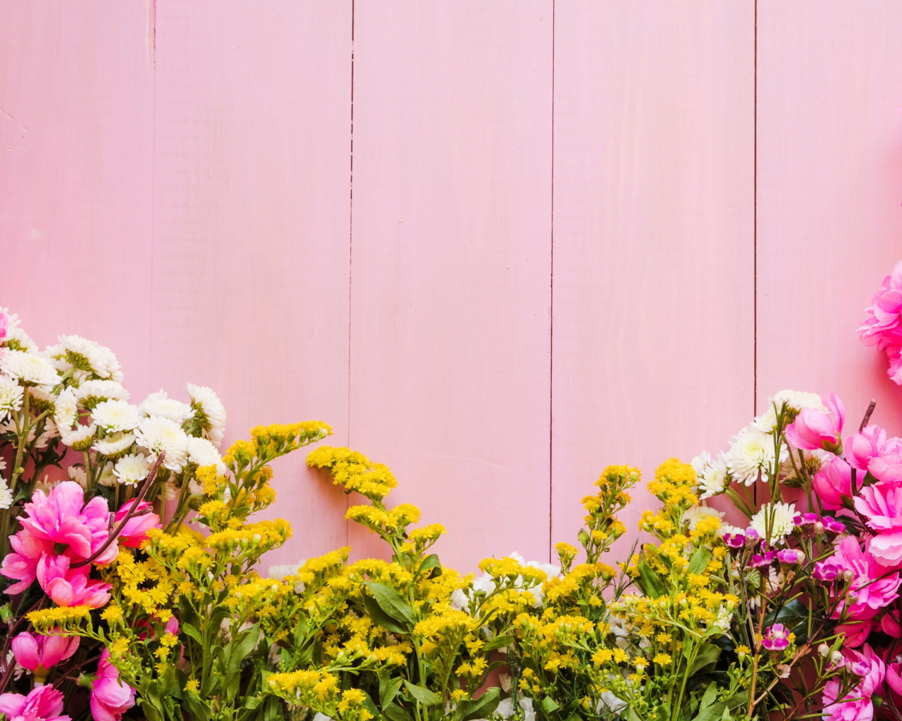 Красивые цветы на розовом фоне