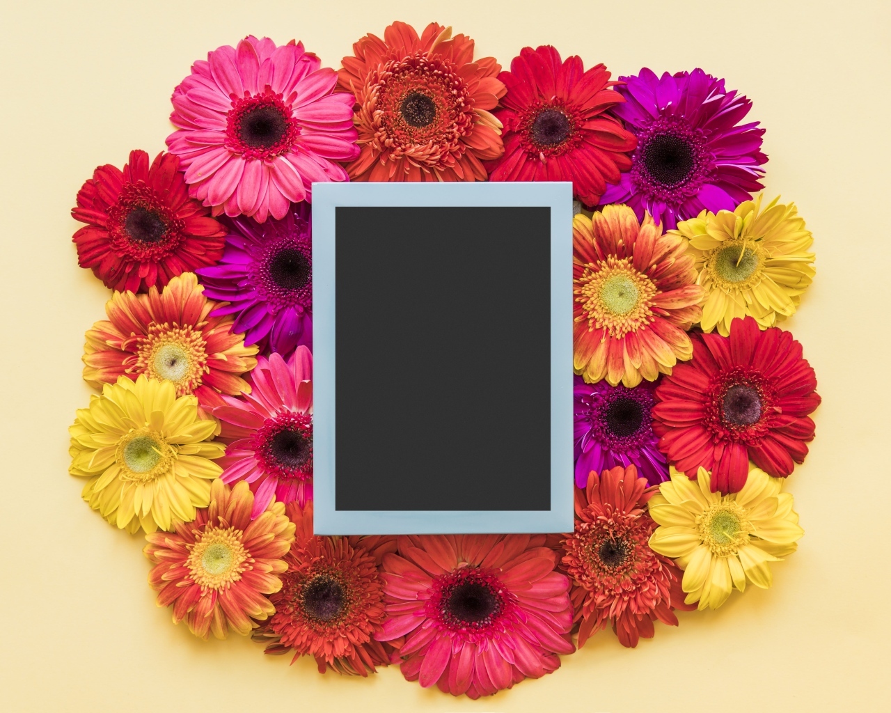 Букет разноцветных гербер с рамкой