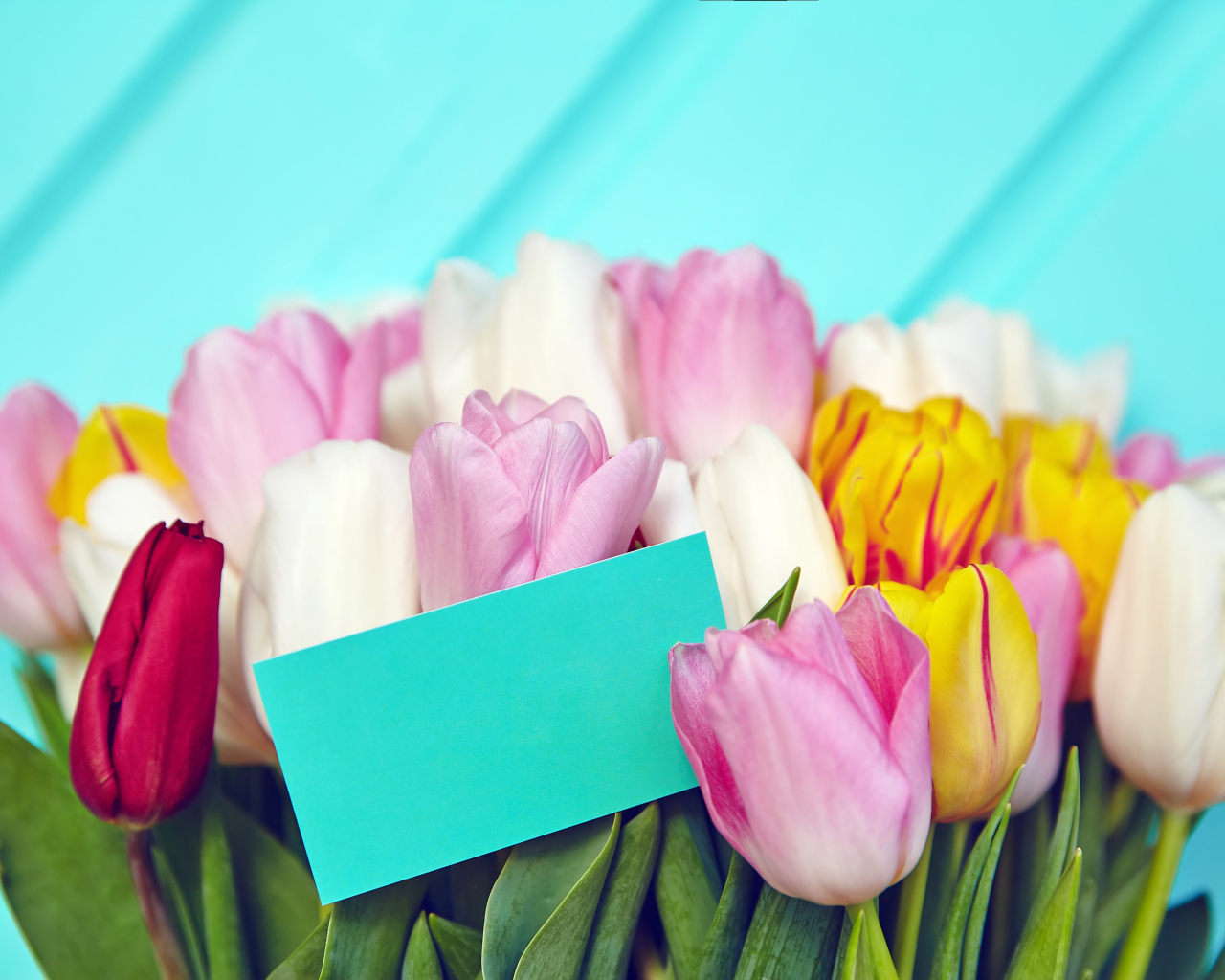 Букет разноцветных тюльпанов с открыткой
