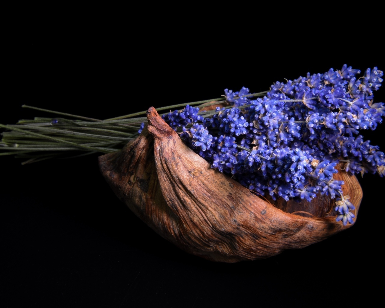 Букет цветов лаванды в коряге на черном фоне