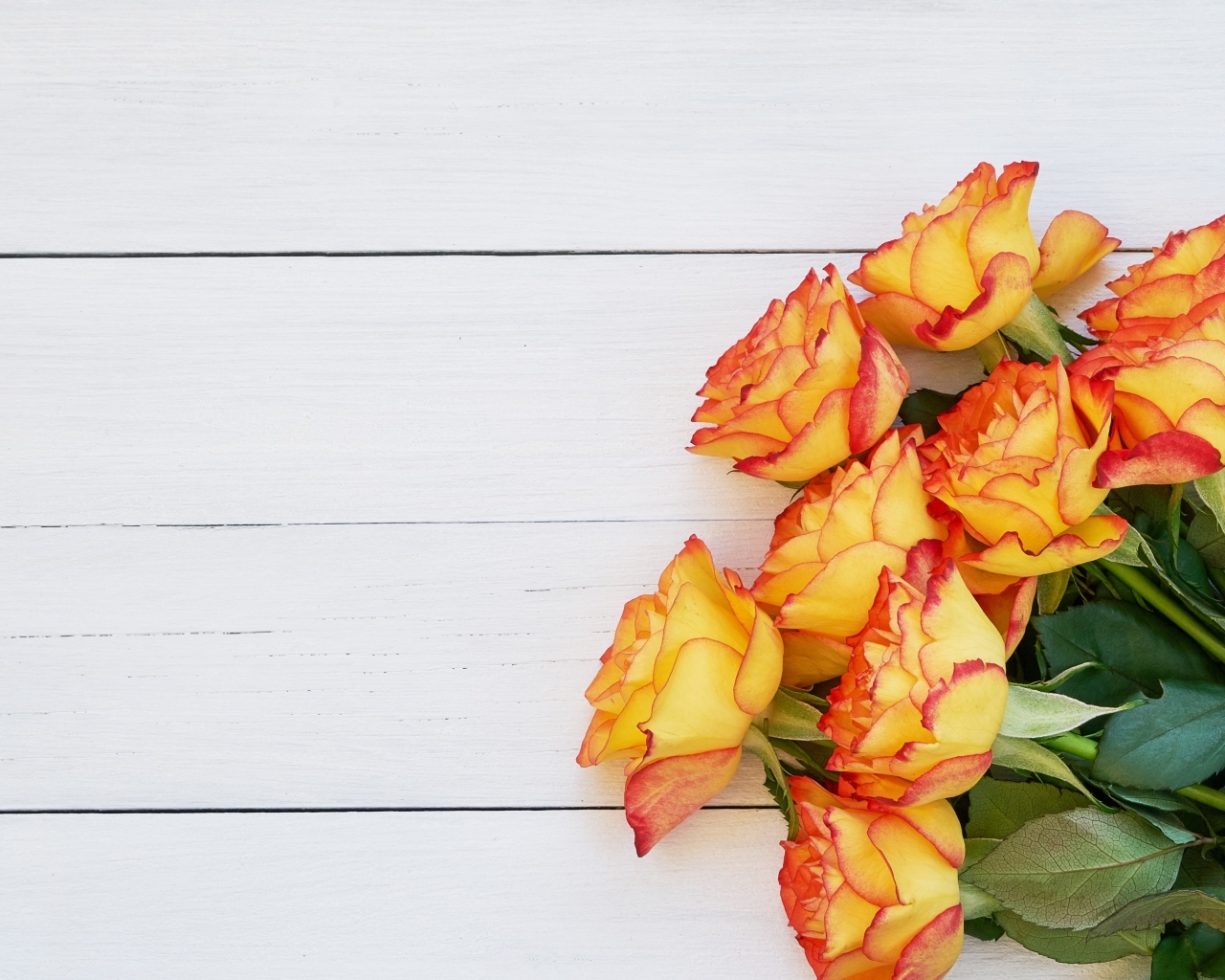 Букет оранжевых роз на белом деревянном фоне